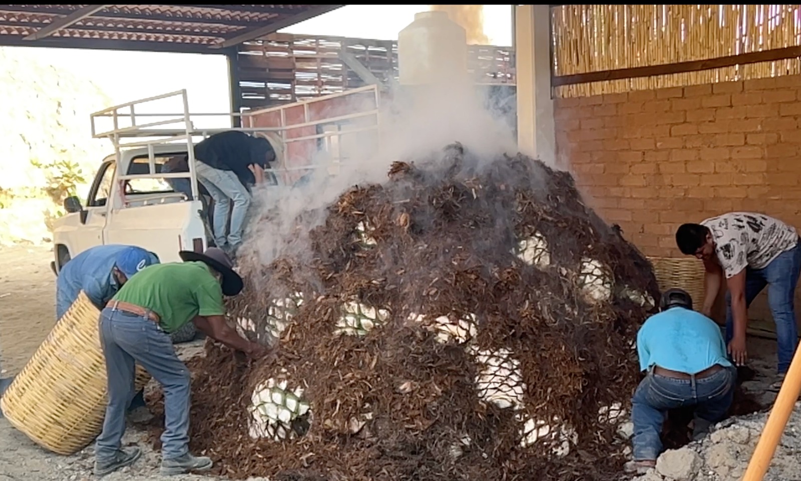 Mezcales de Cata - Galería 7